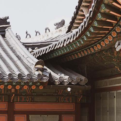 태종대와 신기숲 카페에서 느낀 부산의 매력 태종대와 신기숲 카페에서 느낀 부산의 매력