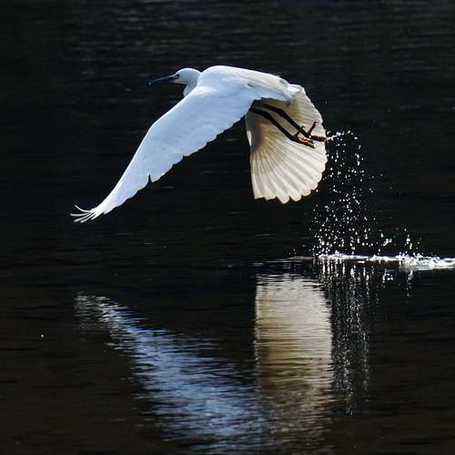 군산 근대역사박물관 – 잊지 못할 추억이 깃든 역사 여행 군산 근대역사박물관 – 잊지 못할 추억이 깃든 역사 여행