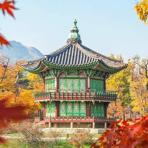 농축수산물 할인쿠폰, 최대의 혜택 받는 방법과 인기 품목 총정리 농축수산물 할인쿠폰, 최대의 혜택 받는 방법과 인기 품목 총정리