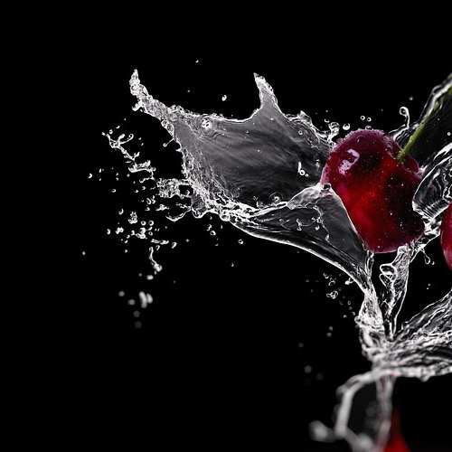 민생회복소비쿠폰으로 경제를 살리는 현명한 방법! 민생회복소비쿠폰으로 경제를 살리는 현명한 방법!