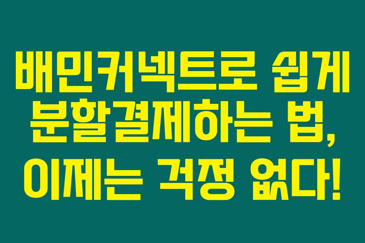 배민커넥트로 쉽게 분할결제하는 법, 이제는 걱정 없다! 배민커넥트로 쉽게 분할결제하는 법, 이제는 걱정 없다!