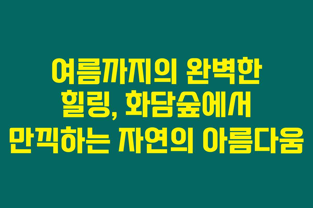 여름까지의 완벽한 힐링, 화담숲에서 만끽하는 자연의 아름다움 여름까지의 완벽한 힐링, 화담숲에서 만끽하는 자연의 아름다움