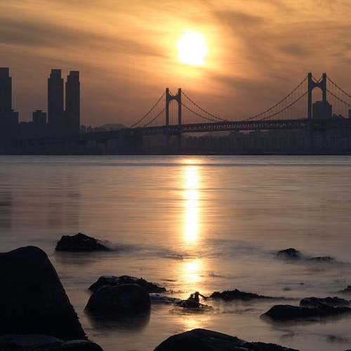 T Ring 서비스: SK텔레콤의 특별한 통화 경험 T Ring 서비스: SK텔레콤의 특별한 통화 경험