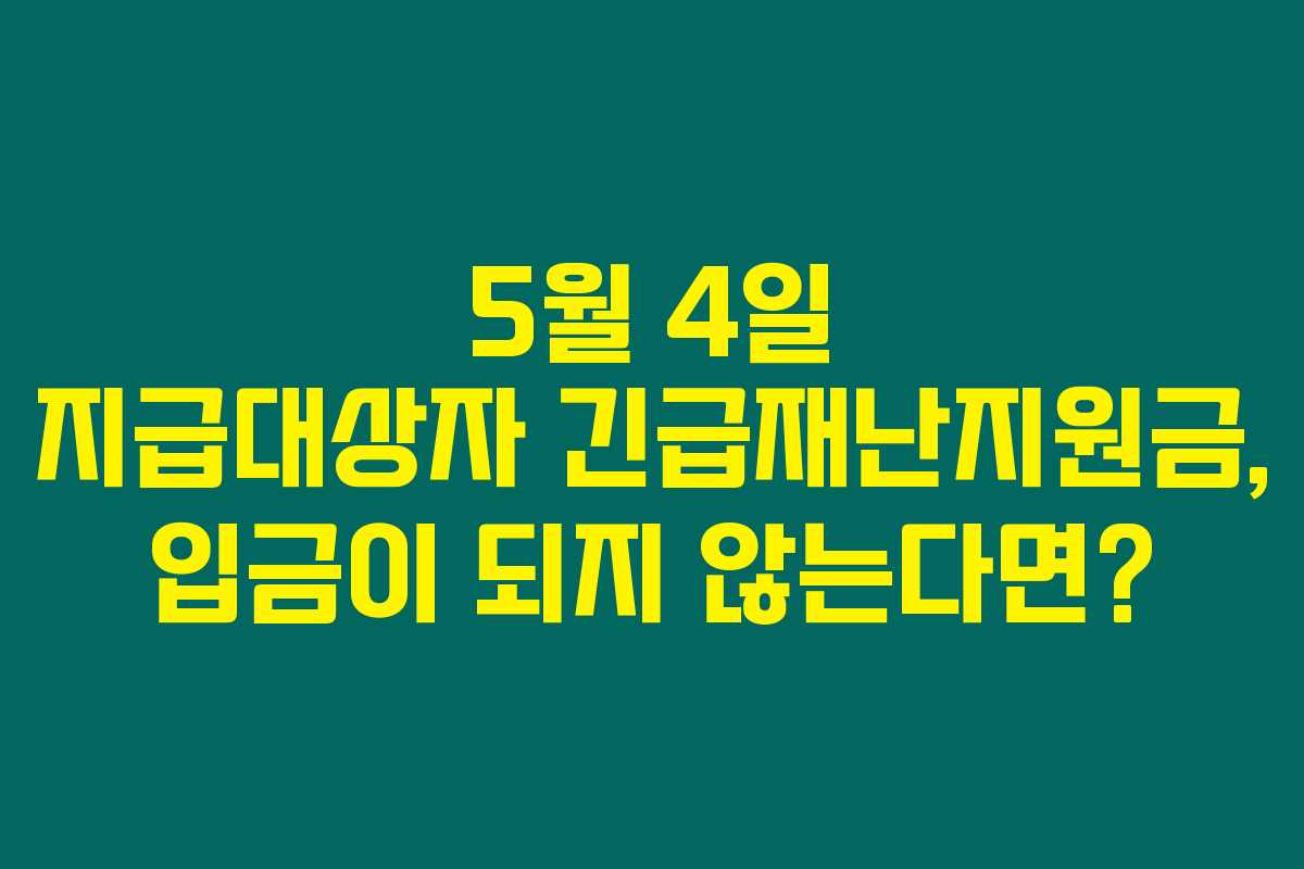5월 4일 지급대상자 긴급재난지원금, 입금이 되지 않는다면? 5월 4일 지급대상자 긴급재난지원금, 입금이 되지 않는다면?