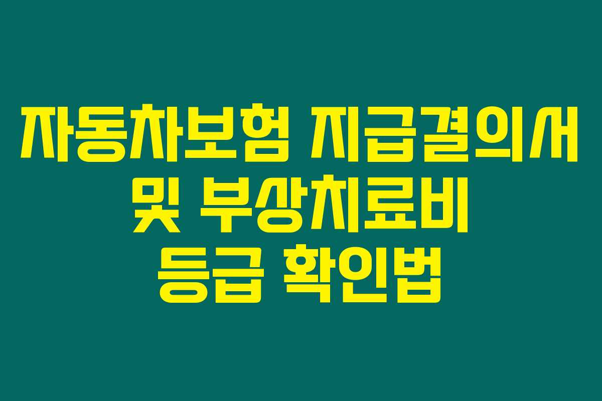 자동차보험 지급결의서 및 부상치료비 등급 확인법 자동차보험 지급결의서 및 부상치료비 등급 확인법