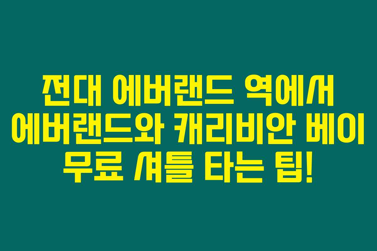 전대 에버랜드 역에서 에버랜드와 캐리비안 베이 무료 셔틀 타는 팁! 전대 에버랜드 역에서 에버랜드와 캐리비안 베이 무료 셔틀 타는 팁!