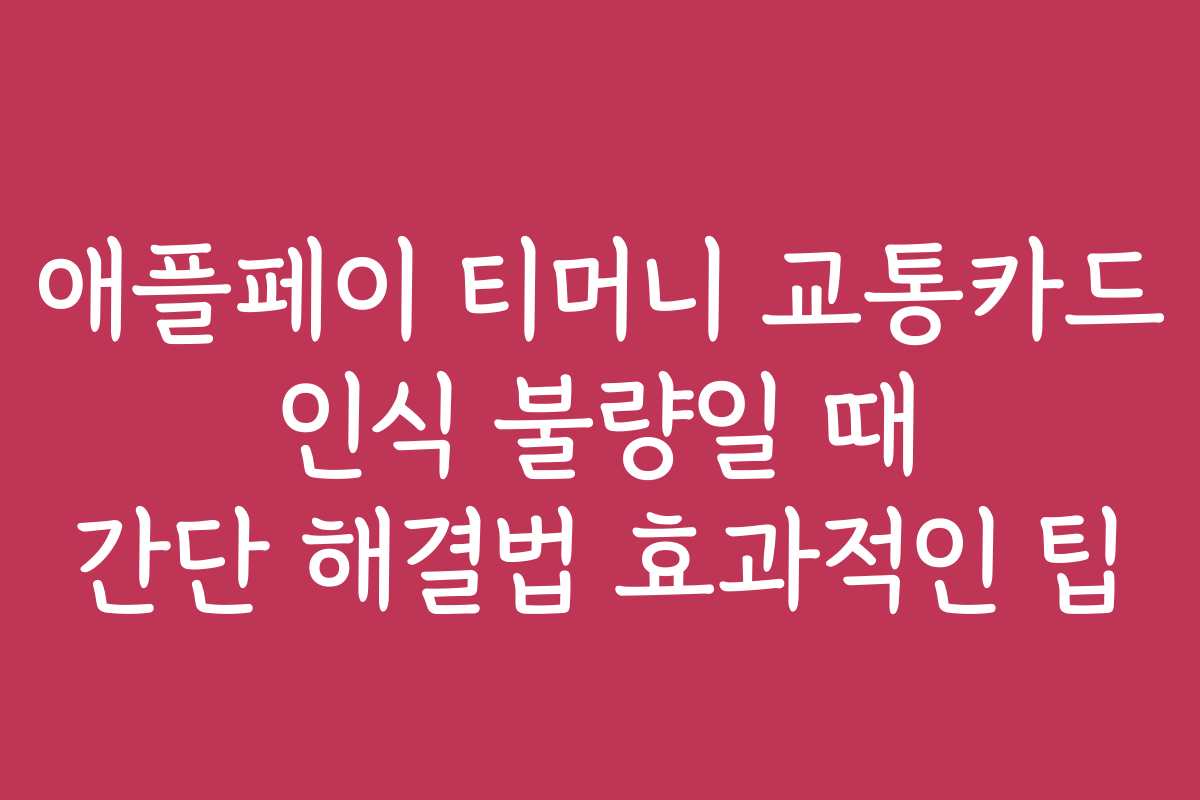 애플페이 티머니 교통카드 인식 불량일 때 간단 해결법 효과적인 팁