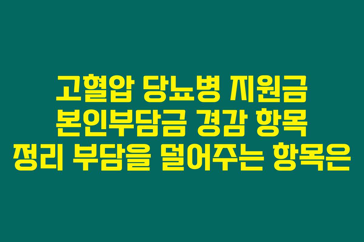 고혈압 당뇨병 지원금 본인부담금 경감 항목 정리 부담을 덜어주는 항목은