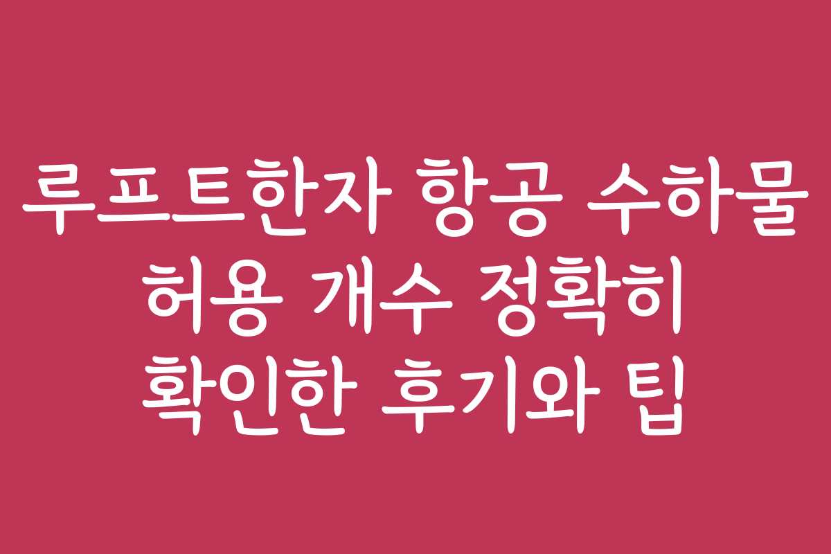 루프트한자 항공 수하물 허용 개수 정확히 확인한 후기와 팁
