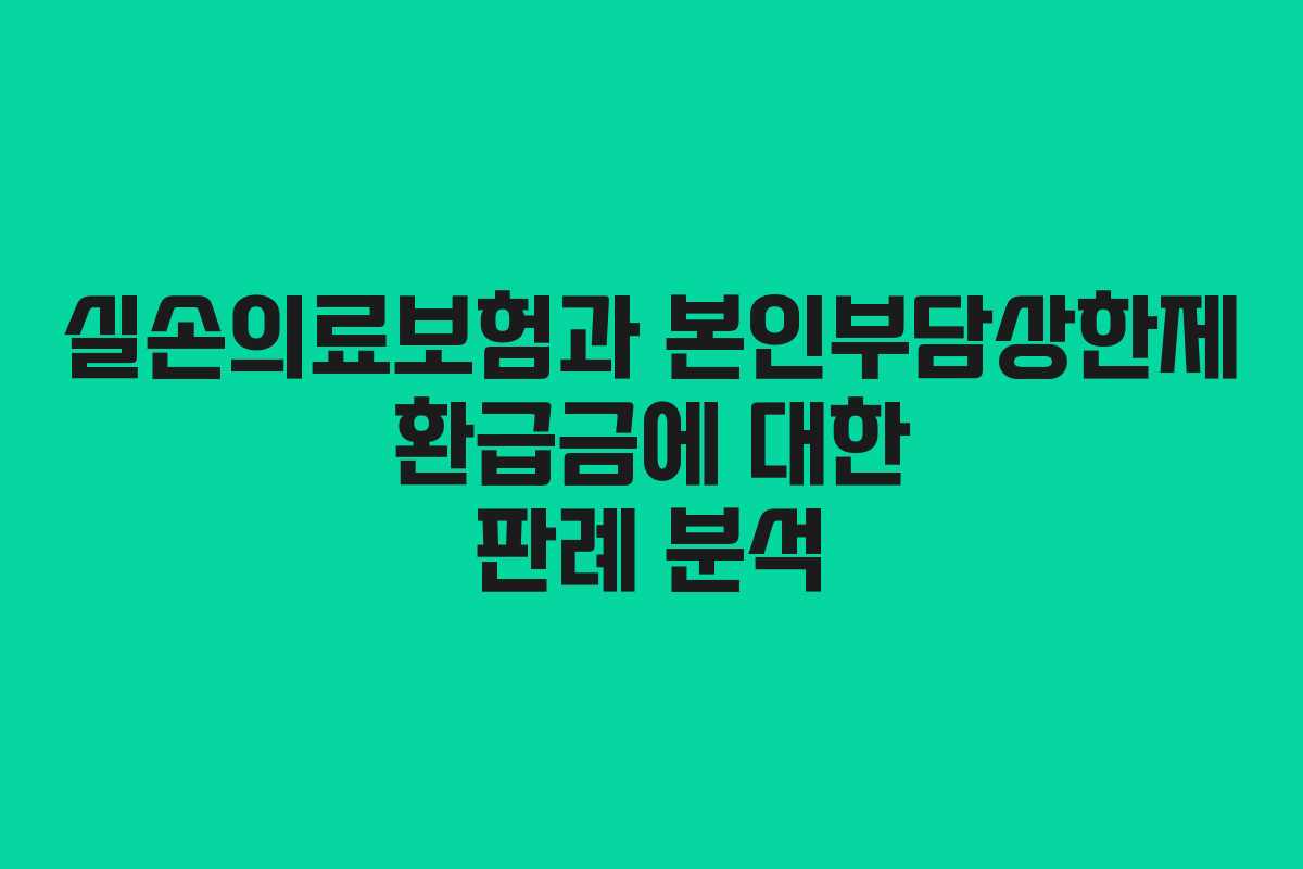 실손의료보험과 본인부담상한제 환급금에 대한 판례 분석