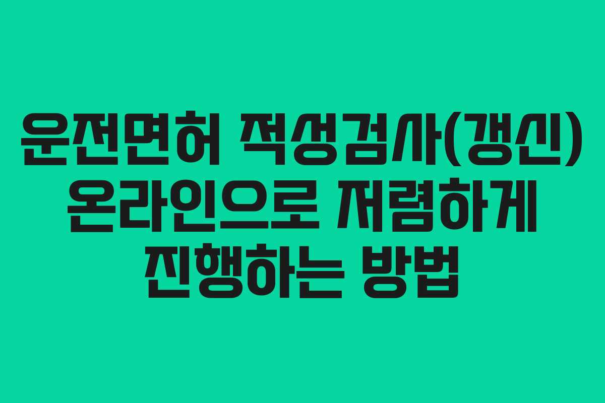 운전면허 적성검사(갱신) 온라인으로 저렴하게 진행하는 방법