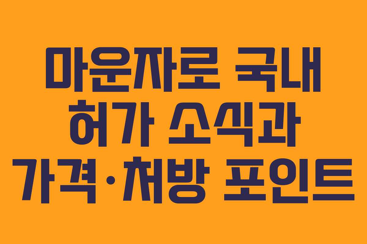 마운자로 국내 허가 소식과 가격·처방 포인트