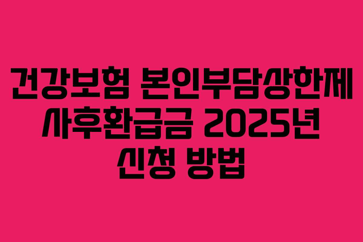 건강보험 본인부담상한제 사후환급금 2025년 신청 방법
