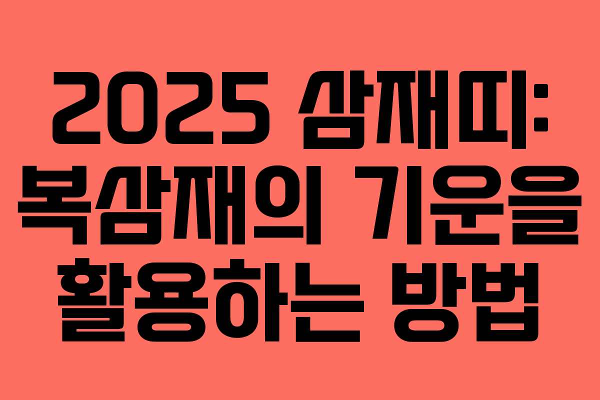2025 삼재띠: 복삼재의 기운을 활용하는 방법 2025 삼재띠: 복삼재의 기운을 활용하는 방법