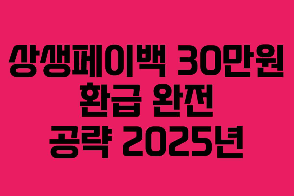상생페이백 30만원 환급 완전 공략 2025년 상생페이백 30만원 환급 완전 공략 2025년