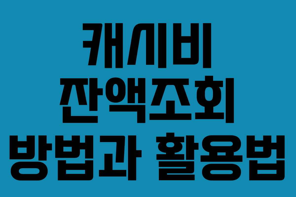 캐시비 잔액조회 방법과 활용법