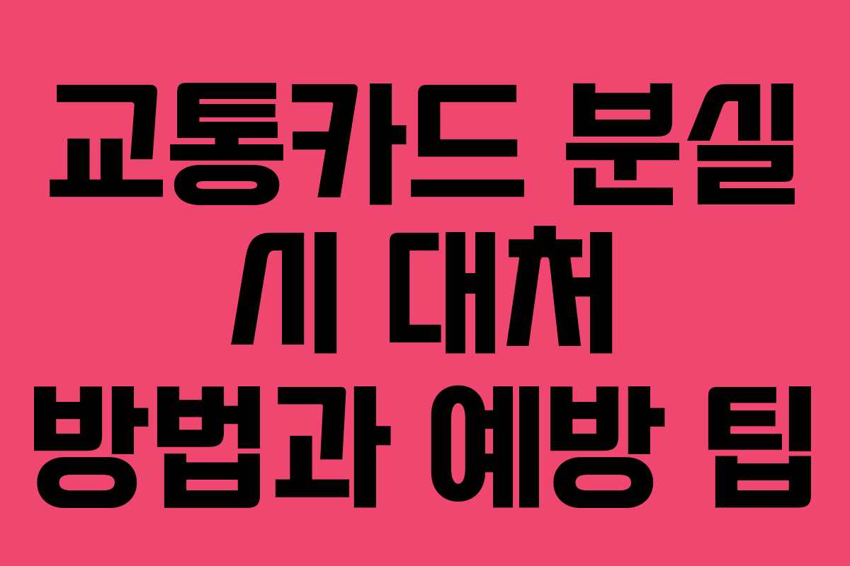 교통카드 분실 시 대처 방법과 예방 팁 교통카드 분실 시 대처 방법과 예방 팁