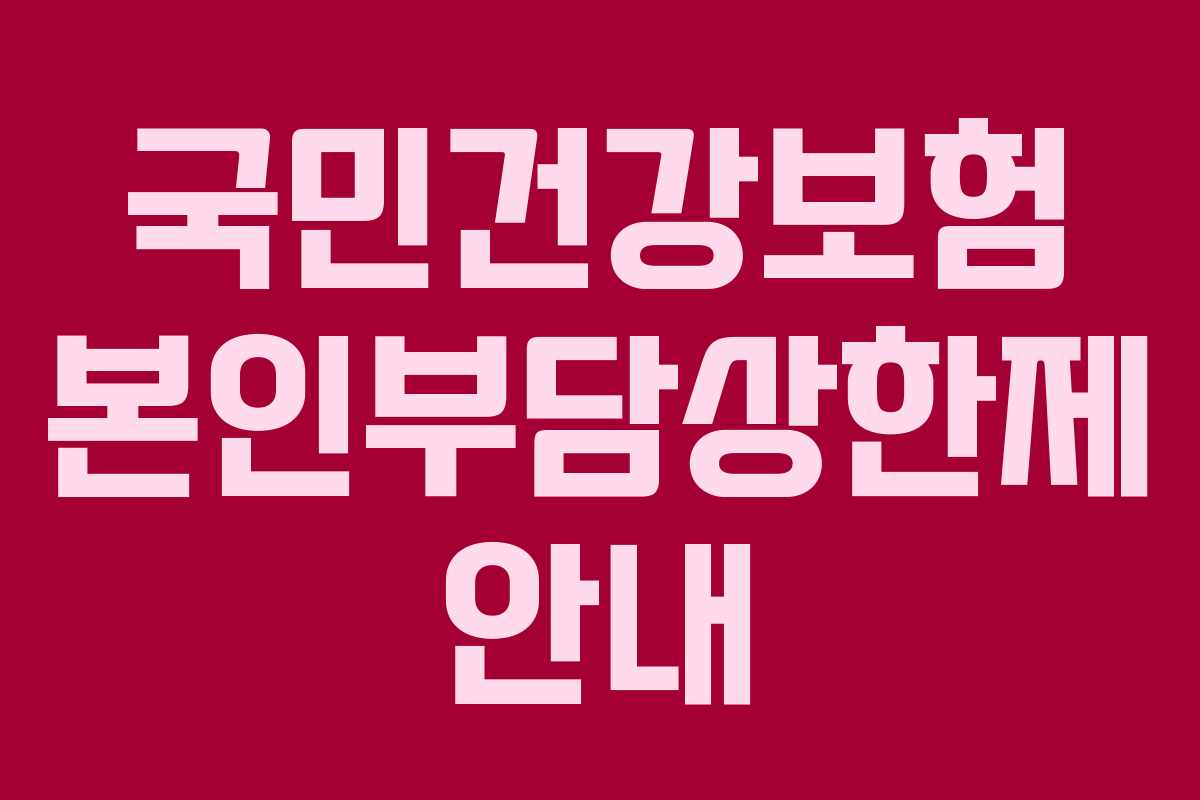 국민건강보험 본인부담상한제 안내 국민건강보험 본인부담상한제 안내