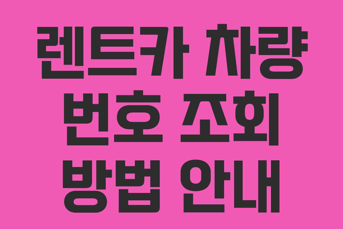 렌트카 차량 번호 조회 방법 안내