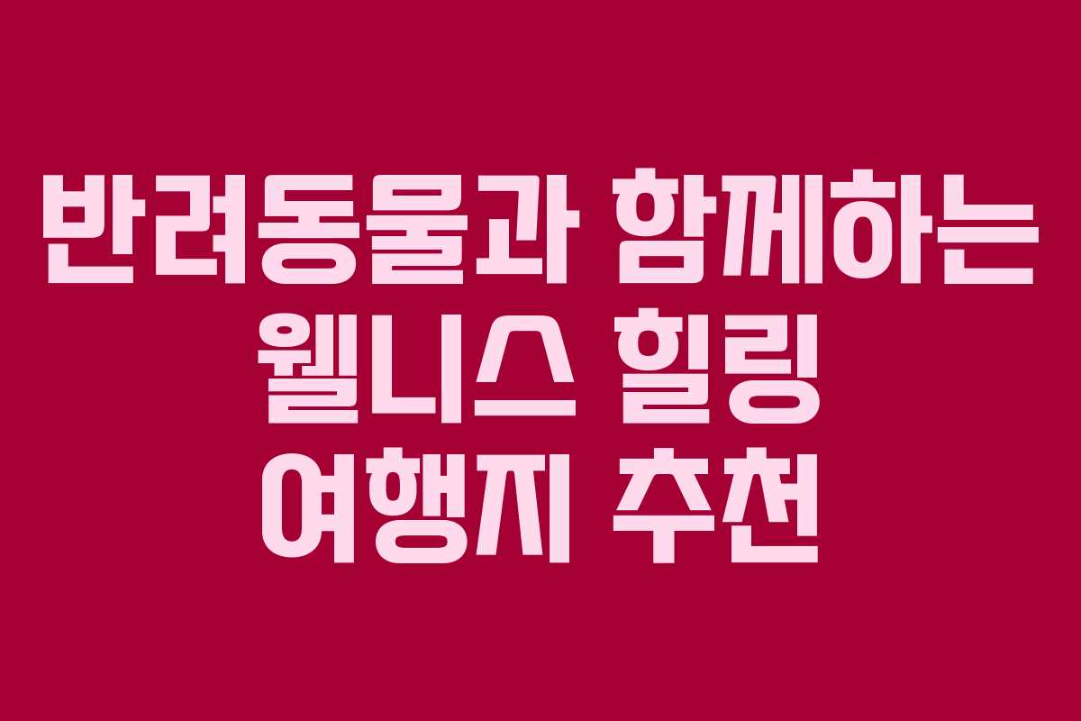 반려동물과 함께하는 웰니스 힐링 여행지 추천