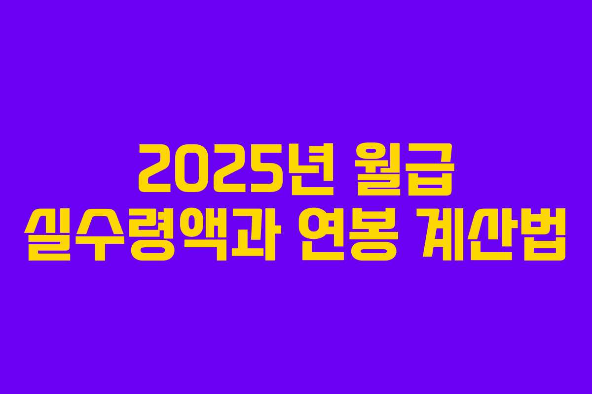 2025년 월급 실수령액과 연봉 계산법