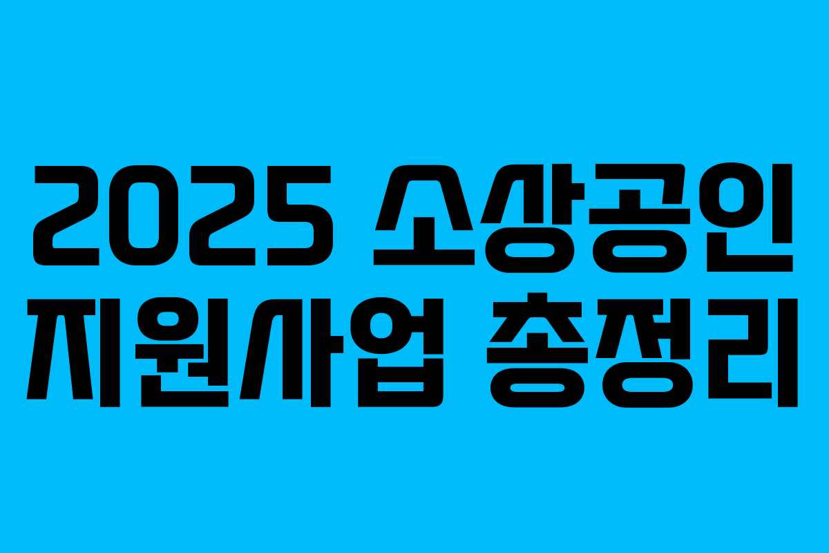 2025 소상공인 지원사업 총정리 2025 소상공인 지원사업 총정리