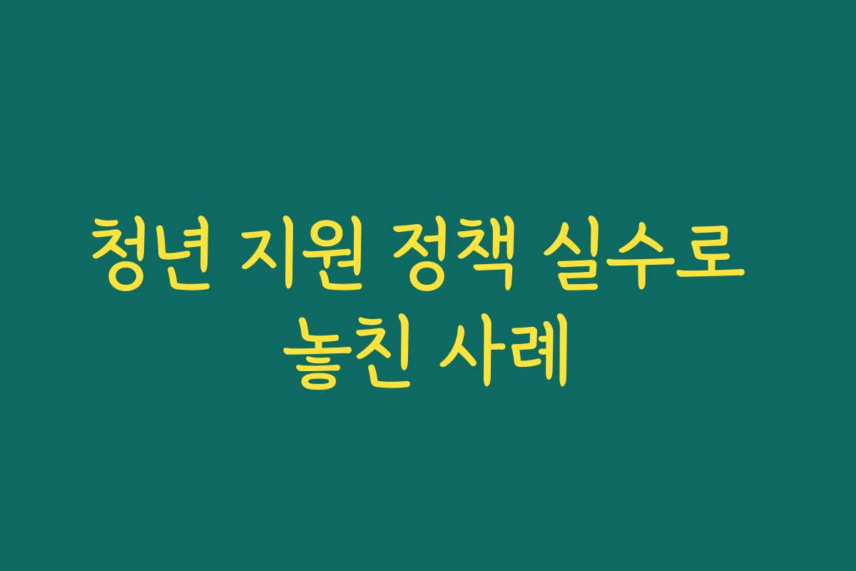 청년 지원 정책 실수로 놓친 사례