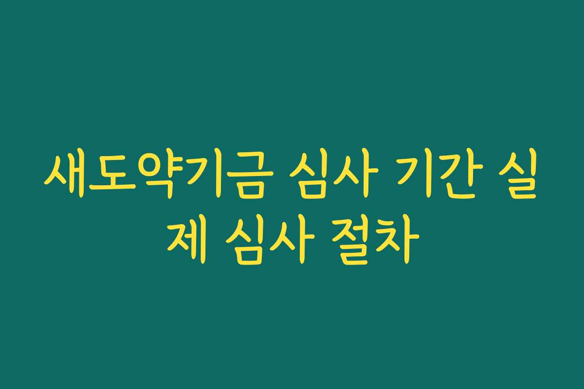 새도약기금 심사 기간 실제 심사 절차 새도약기금 심사 기간 실제 심사 절차
