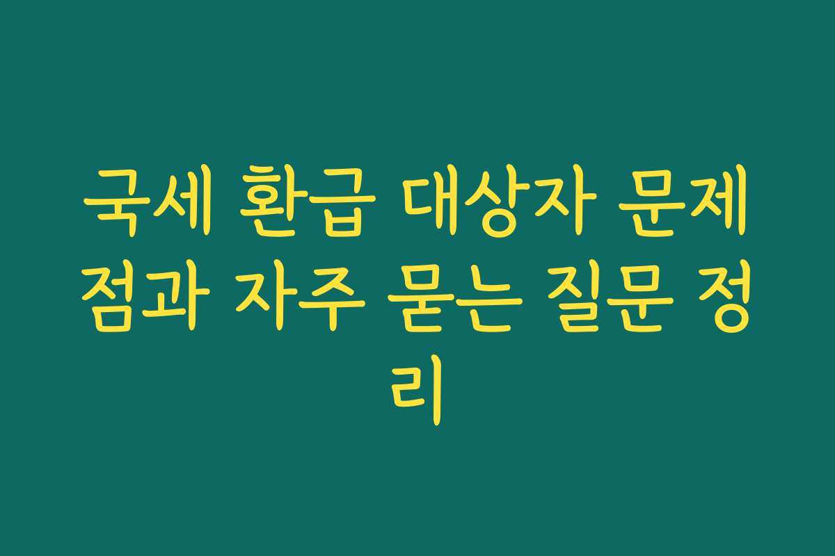 국세 환급 대상자 문제점과 자주 묻는 질문 정리