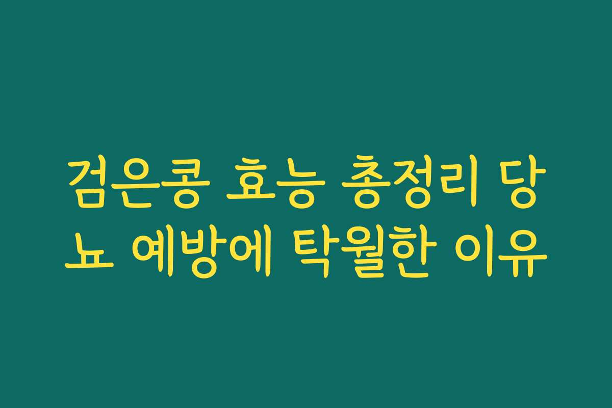 검은콩 효능 총정리 당뇨 예방에 탁월한 이유