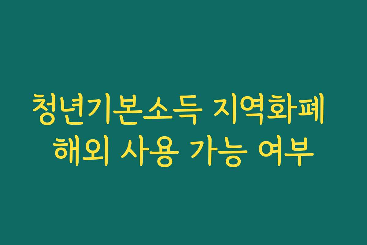 청년기본소득 지역화폐 해외 사용 가능 여부 청년기본소득 지역화폐 해외 사용 가능 여부