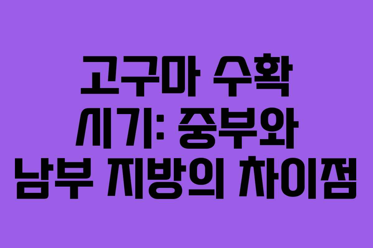 고구마 수확 시기: 중부와 남부 지방의 차이점