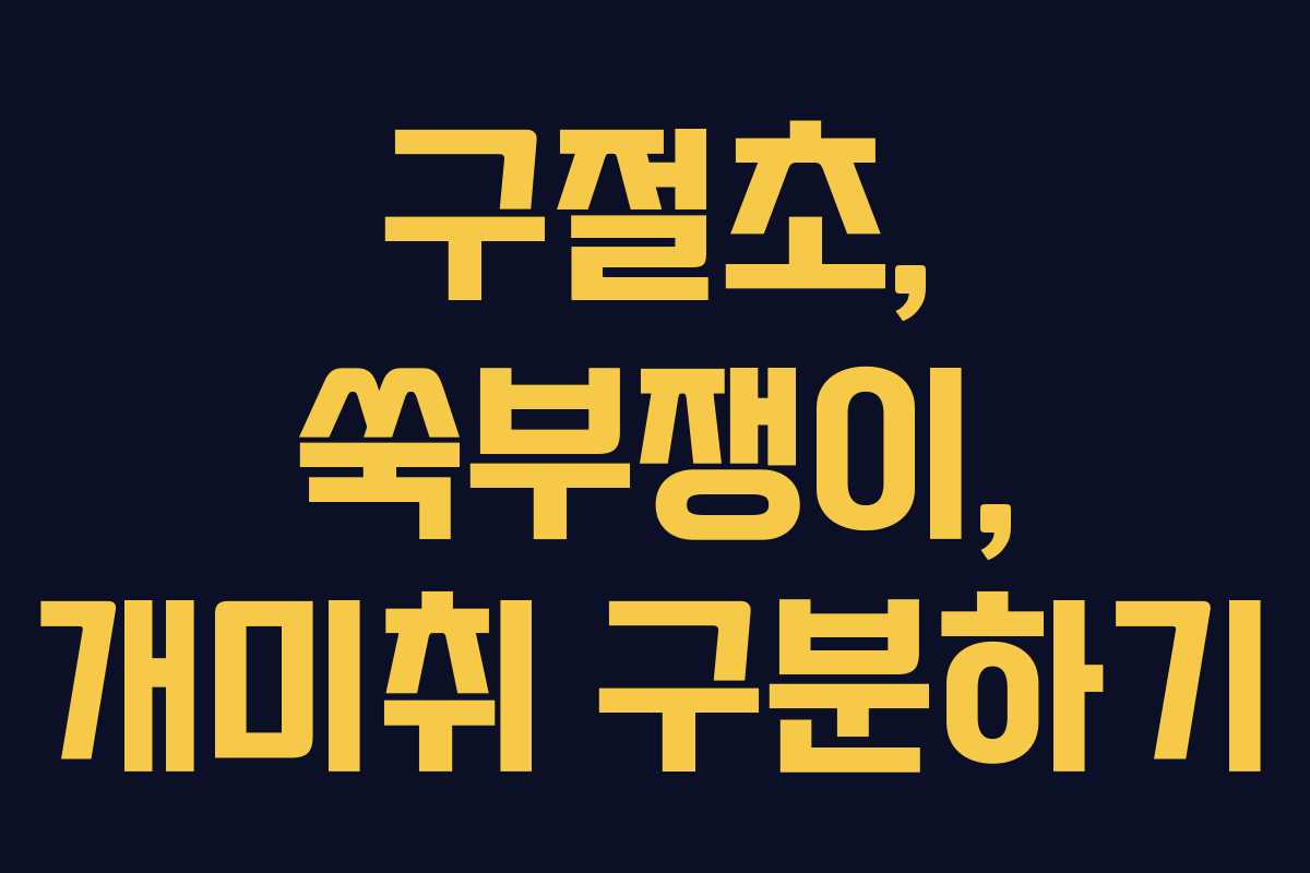 구절초, 쑥부쟁이, 개미취 구분하기 구절초, 쑥부쟁이, 개미취 구분하기