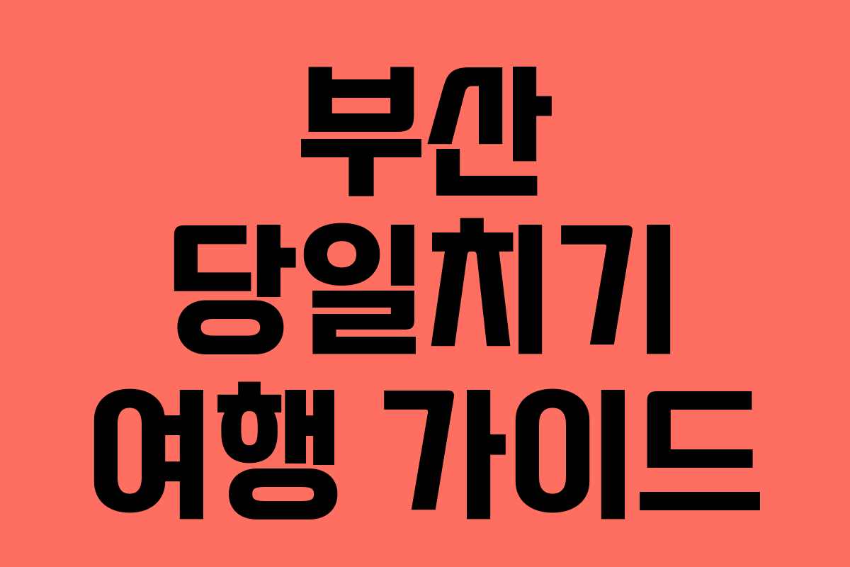 부산 당일치기 여행 가이드