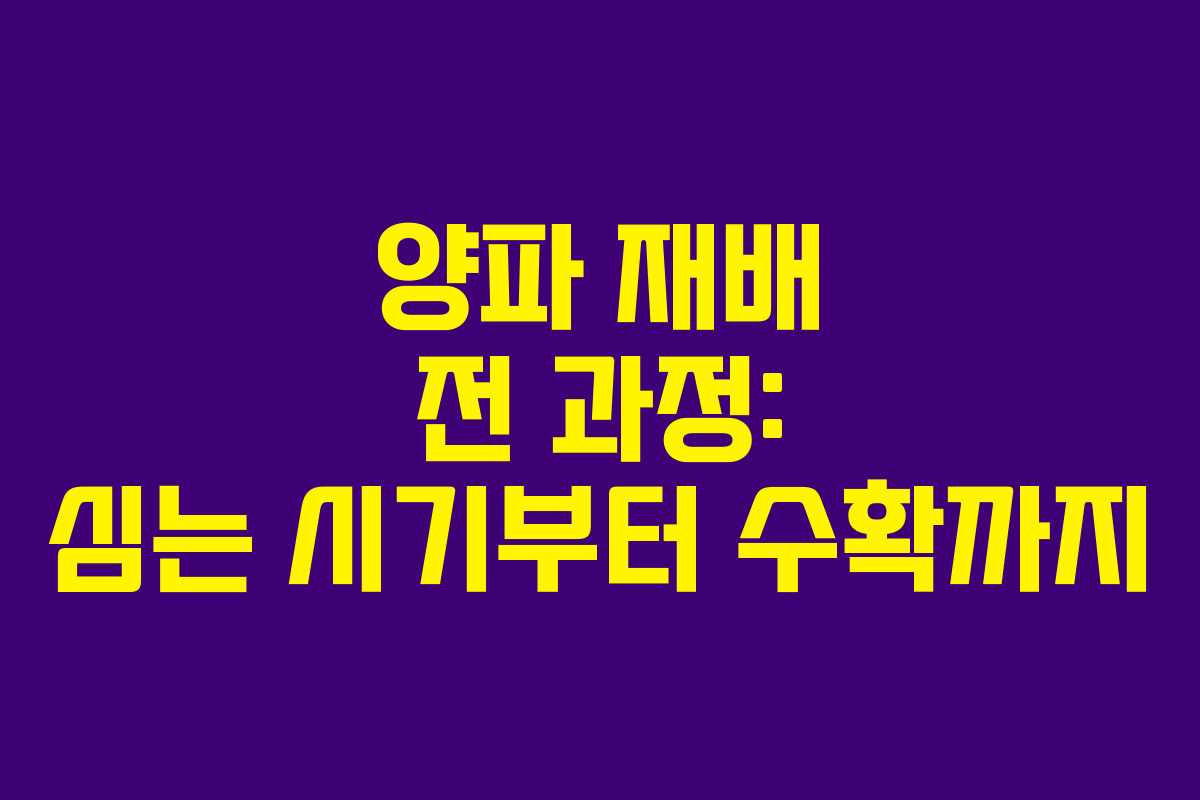 양파 재배 전 과정: 심는 시기부터 수확까지 양파 재배 전 과정: 심는 시기부터 수확까지
