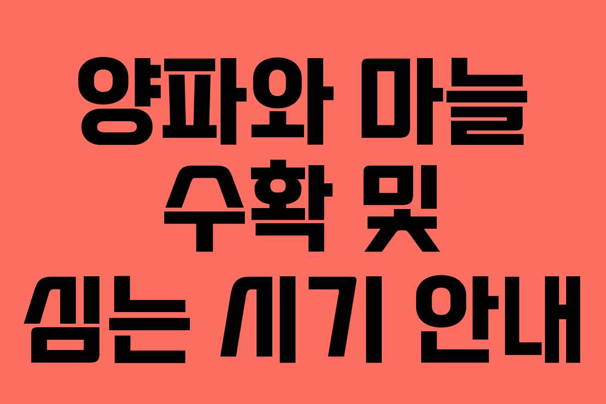 양파와 마늘 수확 및 심는 시기 안내 양파와 마늘 수확 및 심는 시기 안내