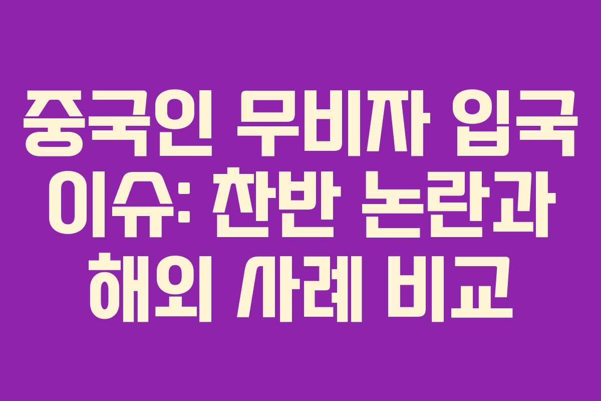 중국인 무비자 입국 이슈: 찬반 논란과 해외 사례 비교 중국인 무비자 입국 이슈: 찬반 논란과 해외 사례 비교