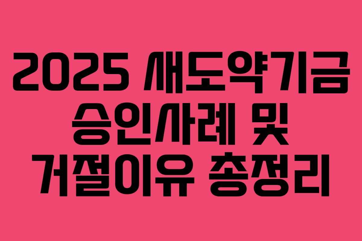 2025 새도약기금 승인사례 및 거절이유 총정리