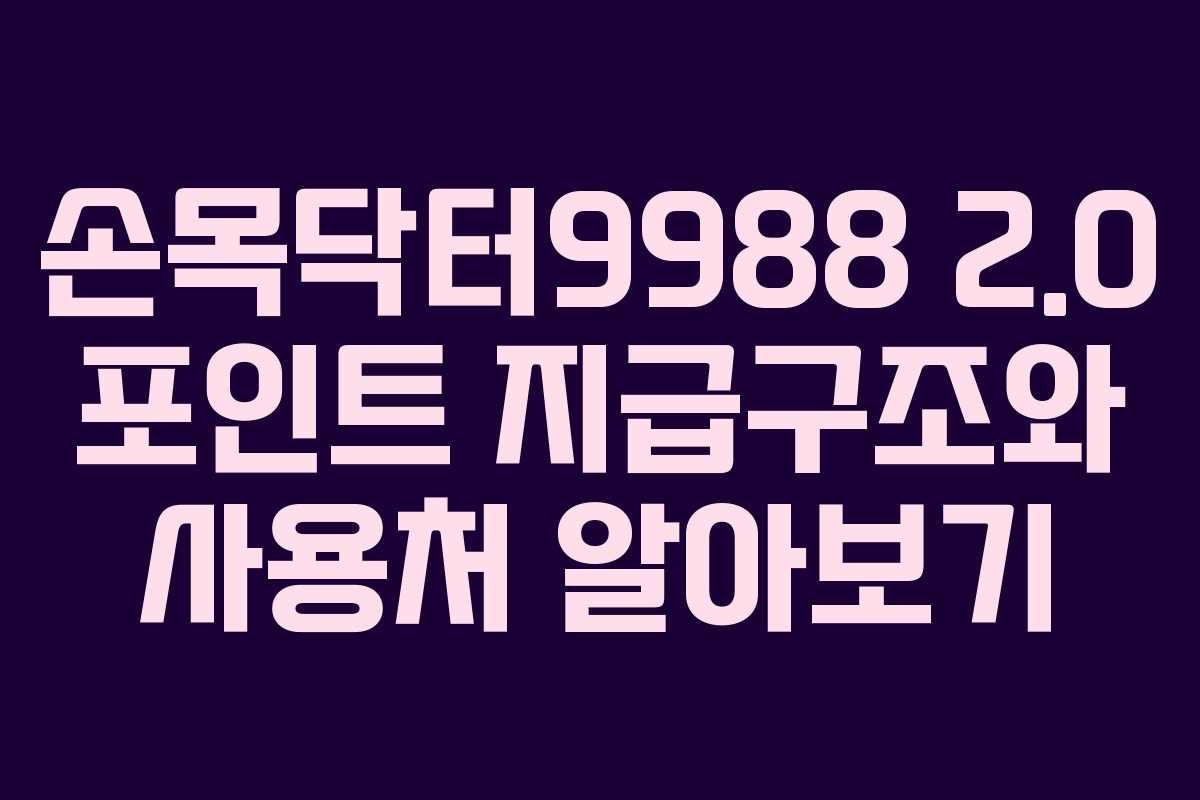 손목닥터9988 2.0 포인트 지급구조와 사용처 알아보기