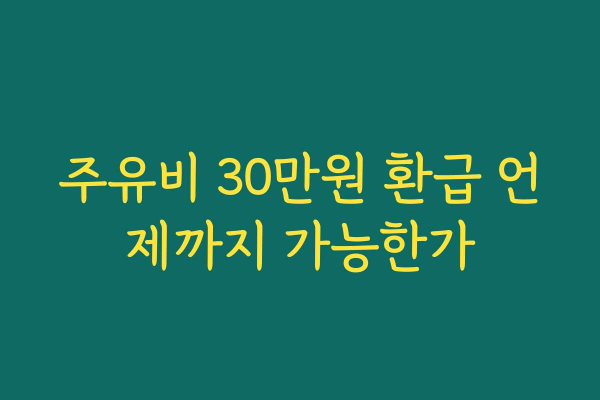 주유비 30만원 환급 언제까지 가능한가