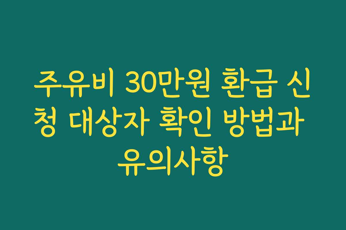 주유비 30만원 환급 신청 대상자 확인 방법과 유의사항