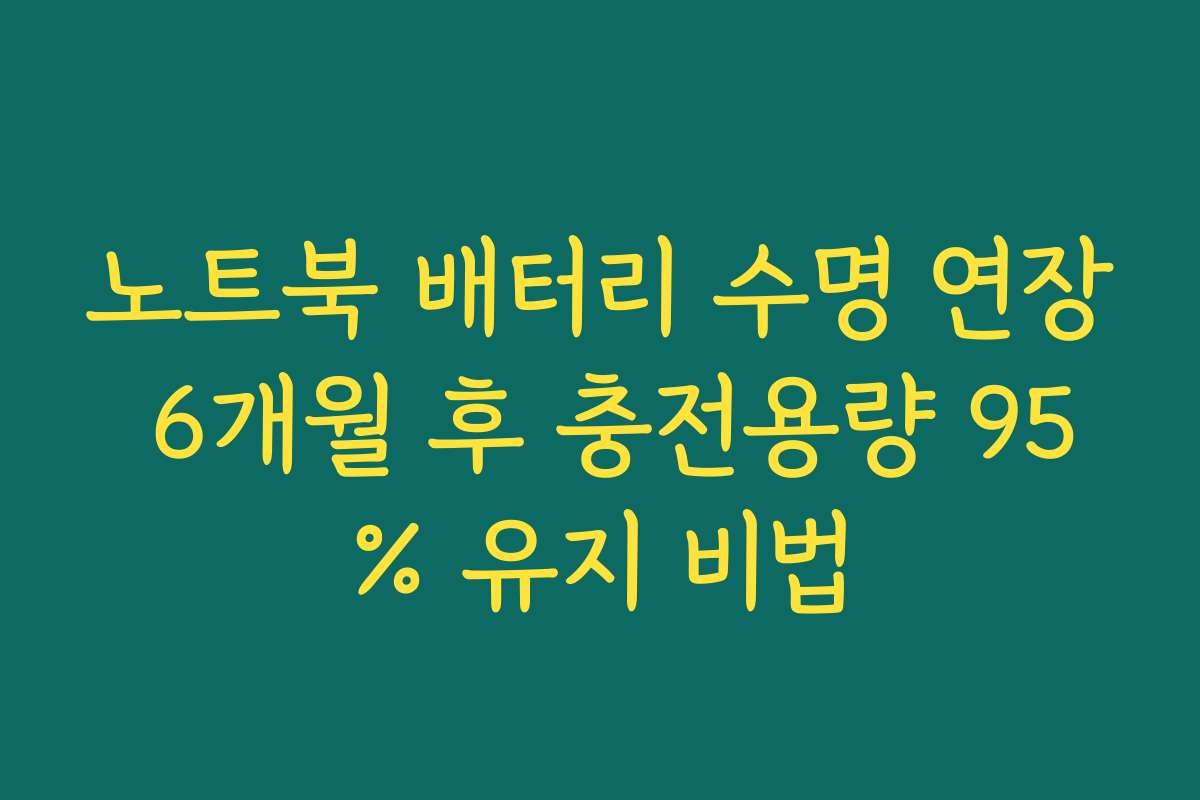 노트북 배터리 수명 연장 6개월 후 충전용량 95% 유지 비법 노트북 배터리 수명 연장 6개월 후 충전용량 95% 유지 비법