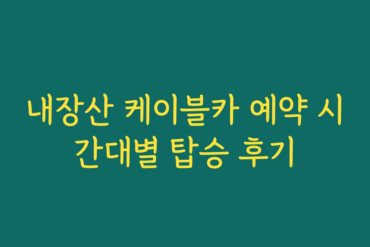 내장산 케이블카 예약 시간대별 탑승 후기