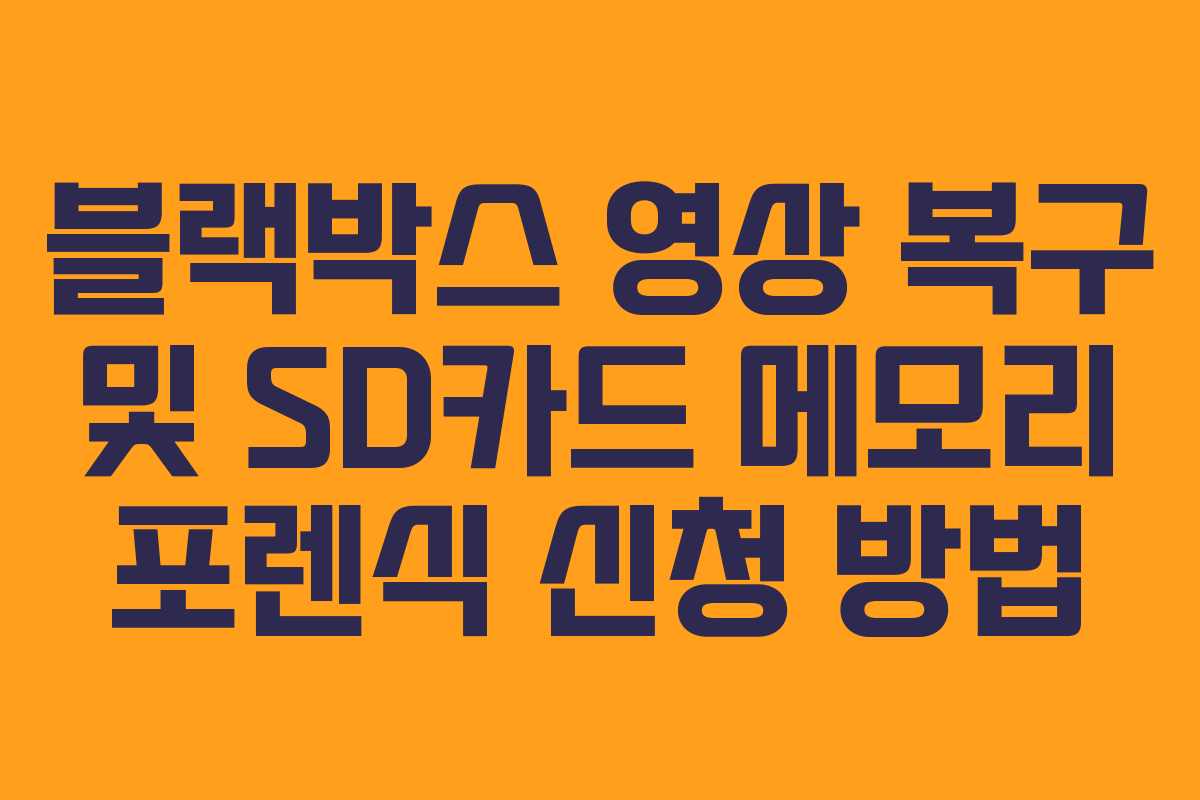 블랙박스 영상 복구 및 SD카드 메모리 포렌식 신청 방법