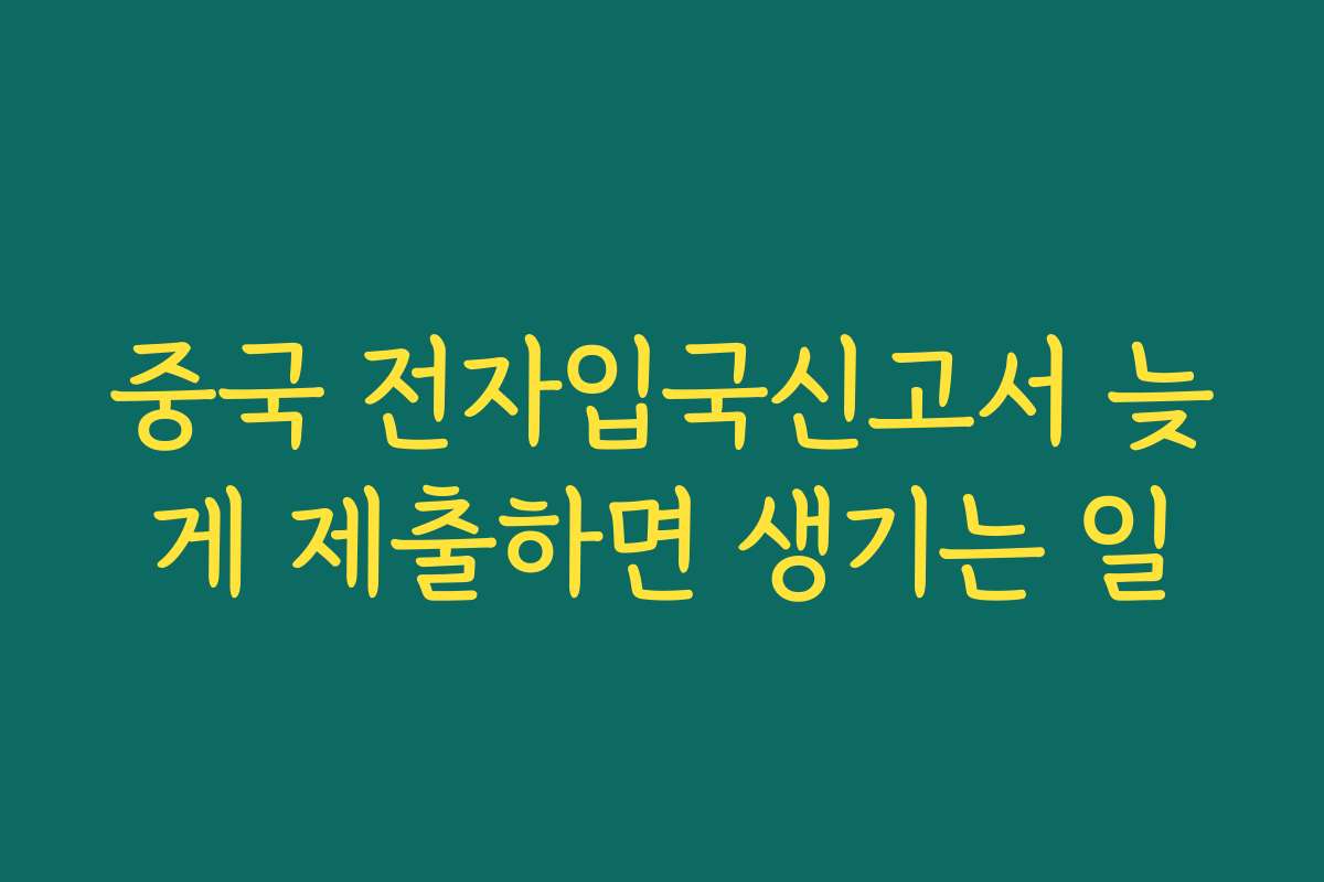 중국 전자입국신고서 늦게 제출하면 생기는 일
