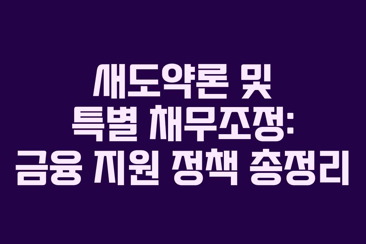 새도약론 및 특별 채무조정: 금융 지원 정책 총정리