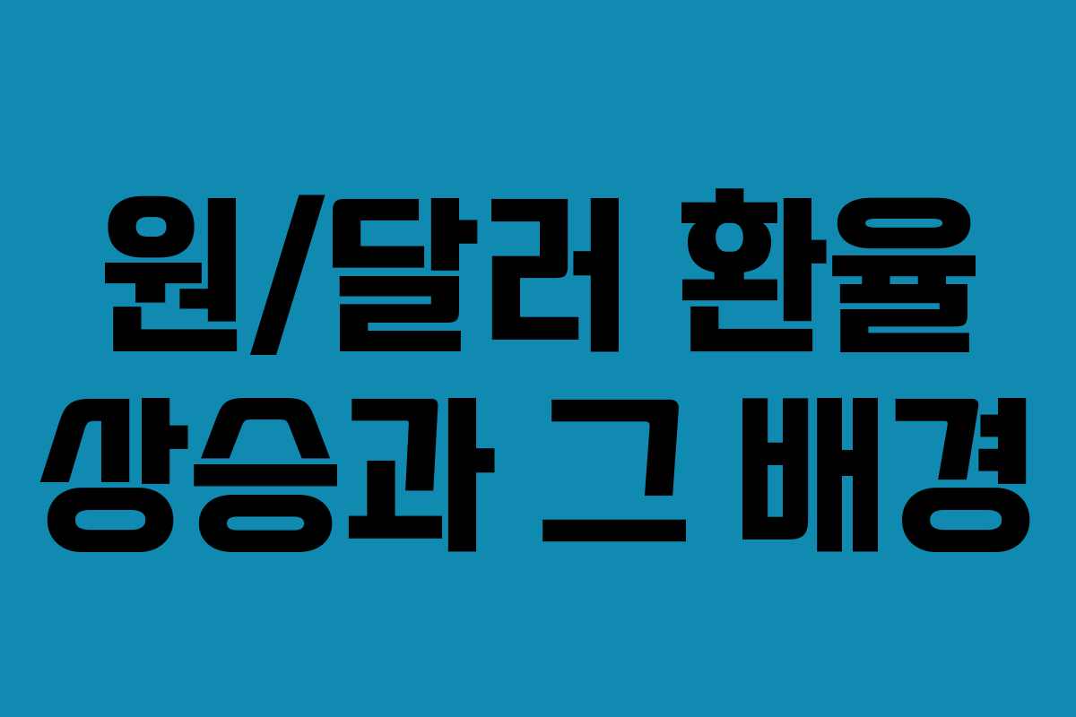 원/달러 환율 상승과 그 배경