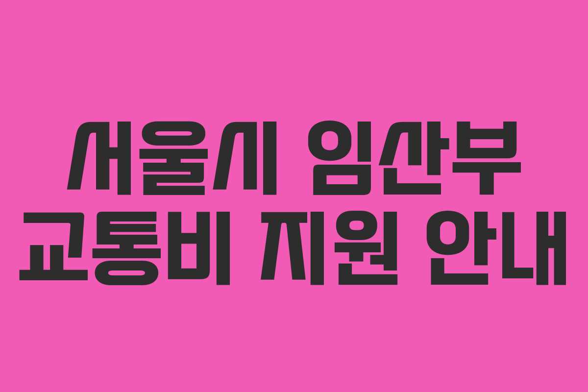 서울시 임산부 교통비 지원 안내