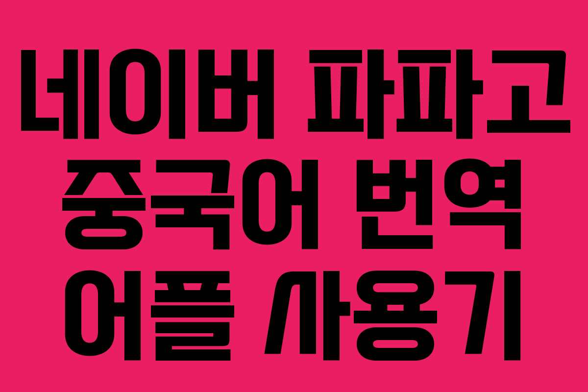 네이버 파파고 중국어 번역 어플 사용기 네이버 파파고 중국어 번역 어플 사용기