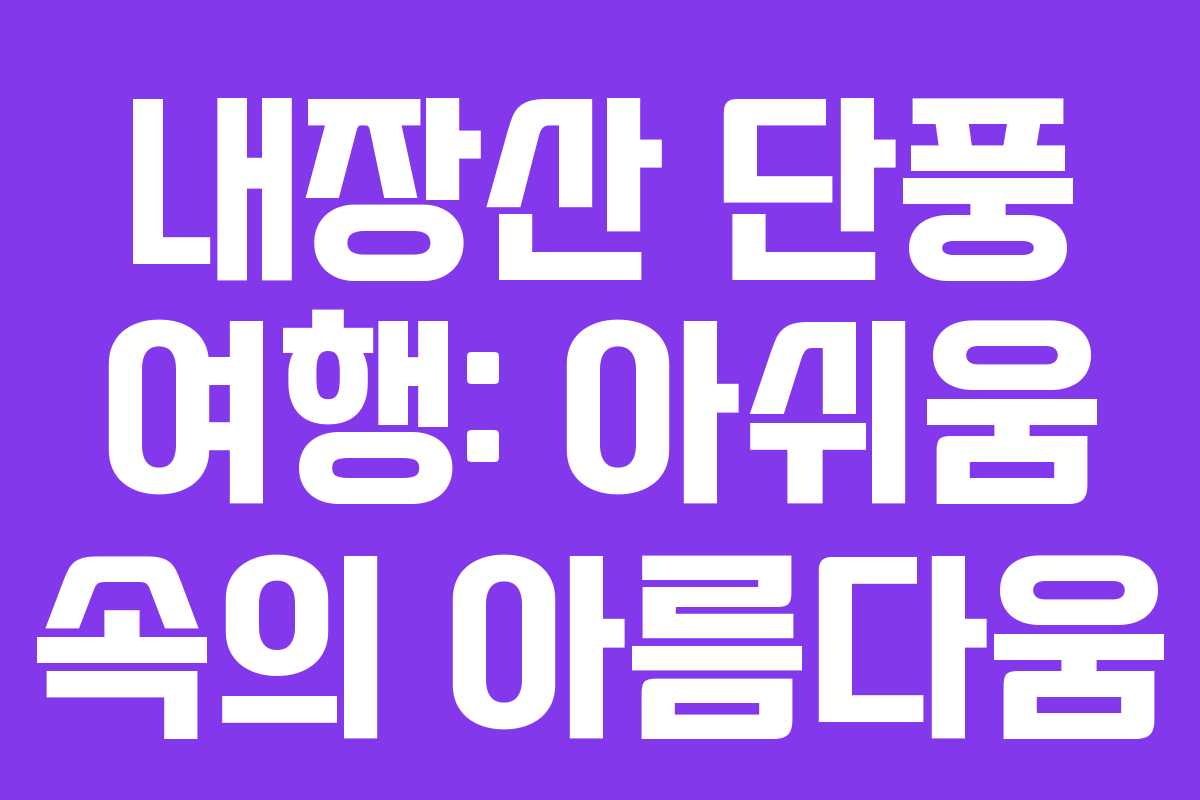 내장산 단풍 여행: 아쉬움 속의 아름다움